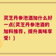 灵芝丹参泡酒加什么好一点(灵芝丹参泡酒的加料推荐，提升美味享受！)