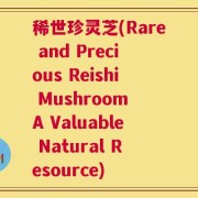 稀世珍灵芝(Rare and Precious Reishi Mushroom A Valuable Natural Resource)