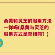 桑黄和灵芝的服用方法一样吗(桑黄与灵芝的服用方式是否相同？)