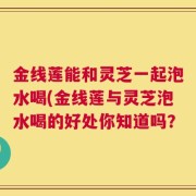 金线莲能和灵芝一起泡水喝(金线莲与灵芝泡水喝的好处你知道吗？