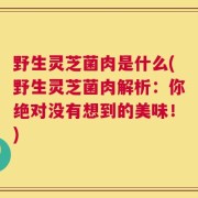 野生灵芝菌肉是什么(野生灵芝菌肉解析：你绝对没有想到的美味！)