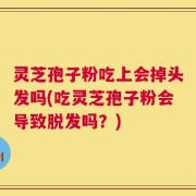 灵芝孢子粉吃上会掉头发吗(吃灵芝孢子粉会导致脱发吗？)
