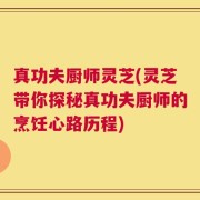 真功夫厨师灵芝(灵芝带你探秘真功夫厨师的烹饪心路历程)