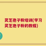 灵芝孢子粉培训(学习灵芝孢子粉的教程)