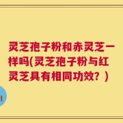 灵芝孢子粉和赤灵芝一样吗(灵芝孢子粉与红灵芝具有相同功效？)