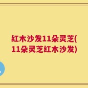 红木沙发11朵灵芝(11朵灵芝红木沙发)