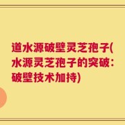 道水源破壁灵芝孢子(水源灵芝孢子的突破：破壁技术加持)
