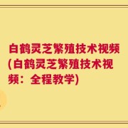 白鹤灵芝繁殖技术视频(白鹤灵芝繁殖技术视频：全程教学)