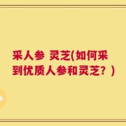 采人参 灵芝(如何采到优质人参和灵芝？)