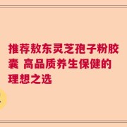 推荐敖东灵芝孢子粉胶囊 高品质养生保健的理想之选