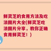 鲜灵芝的食用方法及吃法图片大全(鲜灵芝吃法图片分享,教你正确食用鲜灵芝!)