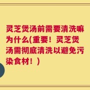 灵芝煲汤前需要清洗嘛为什么(重要！灵芝煲汤需彻底清洗以避免污染食材！)