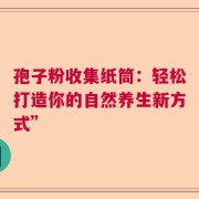 孢子粉收集纸筒：轻松打造你的自然养生新方式”