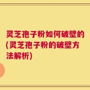灵芝孢子粉如何破壁的(灵芝孢子粉的破壁方法解析)