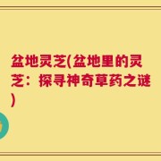 盆地灵芝(盆地里的灵芝：探寻神奇草药之谜)