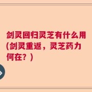 剑灵回归灵芝有什么用(剑灵重返，灵芝药力何在？)