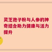 灵芝孢子粉与人参的神奇结合助力健康与活力提升