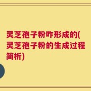 灵芝孢子粉咋形成的(灵芝孢子粉的生成过程简析)