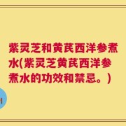紫灵芝和黄芪西洋参煮水(紫灵芝黄芪西洋参煮水的功效和禁忌。)