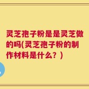 灵芝孢子粉是是灵芝做的吗(灵芝孢子粉的制作材料是什么？)