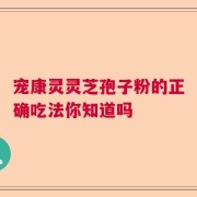 宠康灵灵芝孢子粉的正确吃法你知道吗