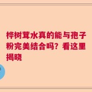 桦树茸水真的能与孢子粉完美结合吗？看这里揭晓