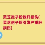 灵芝孢子粉致肝损伤(灵芝孢子粉引发严重肝损伤)