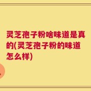 灵芝孢子粉啥味道是真的(灵芝孢子粉的味道怎么样)