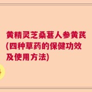 黄精灵芝桑葚人参黄芪(四种草药的保健功效及使用方法)