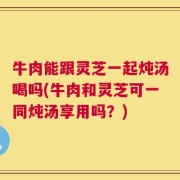 牛肉能跟灵芝一起炖汤喝吗(牛肉和灵芝可一同炖汤享用吗？)