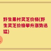 野生果村灵芝价格(野生灵芝价格攀升涨势迅猛)