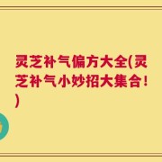 灵芝补气偏方大全(灵芝补气小妙招大集合！)