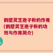 鹤壁灵芝孢子粉的作用(鹤壁灵芝孢子粉的功效与作用简介)