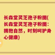 长森堂灵芝孢子粉图(长森堂灵芝孢子粉图：拥抱自然，时刻呵护身心健康)