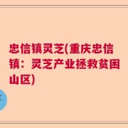 忠信镇灵芝(重庆忠信镇：灵芝产业拯救贫困山区)