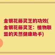 金银花藤灵芝的功效(金银花藤灵芝：植物联盟的天然健康助手)