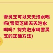 雪灵芝可以天天泡水喝吗(雪灵芝能天天泡水喝吗？探究泡水喝雪灵芝的正确方法)