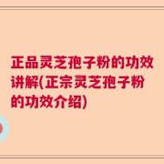 正品灵芝孢子粉的功效讲解(正宗灵芝孢子粉的功效介绍)