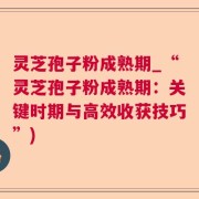 灵芝孢子粉成熟期_“灵芝孢子粉成熟期：关键时期与高效收获技巧”)