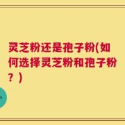 灵芝粉还是孢子粉(如何选择灵芝粉和孢子粉？)