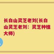 长白山灵芝老刘(长白山灵芝老刘：灵芝种植大师)