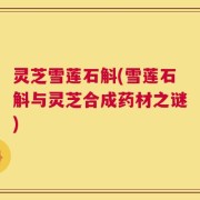 灵芝雪莲石斛(雪莲石斛与灵芝合成药材之谜)