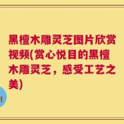 黑檀木雕灵芝图片欣赏视频(赏心悦目的黑檀木雕灵芝，感受工艺之美)