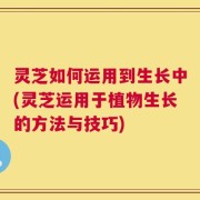 灵芝如何运用到生长中(灵芝运用于植物生长的方法与技巧)