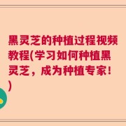 黑灵芝的种植过程视频教程(学习如何种植黑灵芝，成为种植专家！)