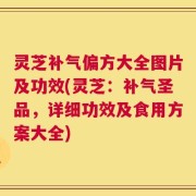 灵芝补气偏方大全图片及功效(灵芝：补气圣品，详细功效及食用方案大全)