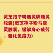 灵芝孢子粉瑞灵牌康灵胶囊(灵芝孢子粉与康灵胶囊，缓解身心疲劳，强化免疫力)