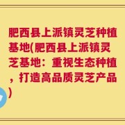 肥西县上派镇灵芝种植基地(肥西县上派镇灵芝基地：重视生态种植，打造高品质灵芝产品)