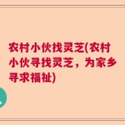 农村小伙找灵芝(农村小伙寻找灵芝，为家乡寻求福祉)