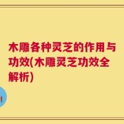 木雕各种灵芝的作用与功效(木雕灵芝功效全解析)